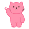 Pink cat mov. 8