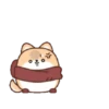 Un Perrito 6