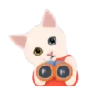 2Gato tierno mov 6