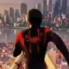 SPIDER MAN .MOV 8
