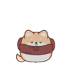 Un Perrito 9