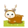 2Gato tierno mov 7