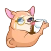 [CHIHUAHUA] ️ ️ 10