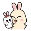 Rabbit Couple mov 7