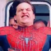 SPIDER MAN .MOV 13