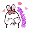 Rabbit Couple mov 9