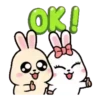 Rabbit Couple mov 11