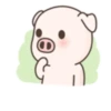 Cerdito mov 12