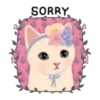 2Gato tierno mov 12