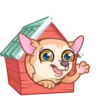 [CHIHUAHUA] ️ ️ 12