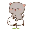 Mochi Cat 1  Movi 12