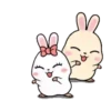 Rabbit Couple mov 12