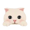 2Gato tierno mov 13