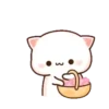 Mochi Cat 1  Movi 14