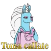 unicornia ᥫ᭡.mov 14