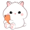 White hamster  .MOV 11