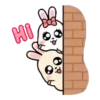 Rabbit Couple mov 15