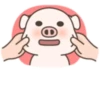 Cerdito mov 15
