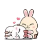 Rabbit Couple mov 17