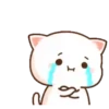 Mochi Cat 1  Movi 15