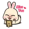 Rabbit Couple mov 18