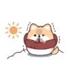 Un Perrito 15