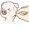 Cerdito mov 17