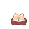 Un Perrito 18