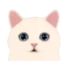2Gato tierno mov 19