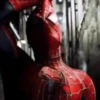 SPIDER MAN .MOV 19