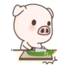 Cerdito mov 18
