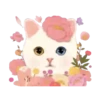 2Gato tierno mov 21