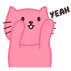 Pink cat mov. 17