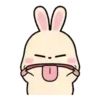 Rabbit Couple mov 23
