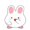 Happy Chubby Bunny DURI .MOV 18