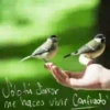 Textos biblicos 24