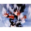 Goku niño  MOV 22