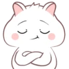 White hamster  .MOV 18