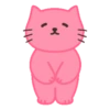 Pink cat mov. 20