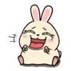 Rabbit Couple mov 27