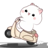 White hamster  .MOV 19
