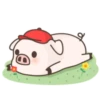Cerdito mov 20