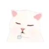 2Gato tierno mov 25