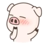 Cerdito mov 21