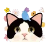 2Gato tierno mov 26
