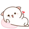 Mochi Cat 1  Movi 16