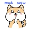Wow  Omg   (Mov) 19