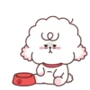Cute Doggies   (mov) 23