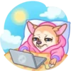 [CHIHUAHUA] ️ ️ 17