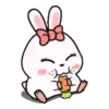 Rabbit Couple mov 28